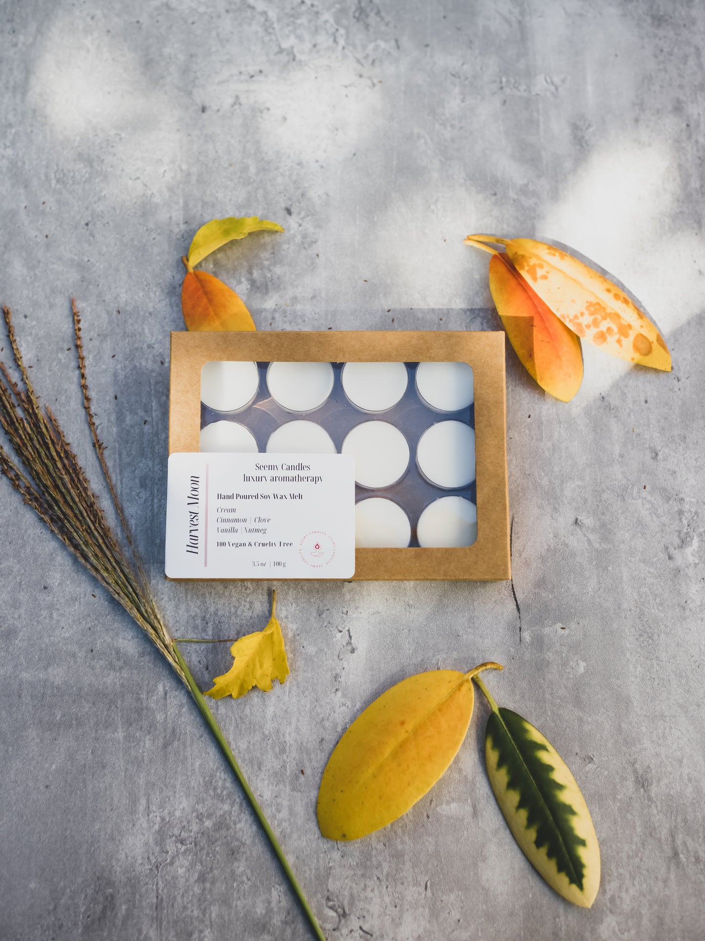 Seemy Wax Melts